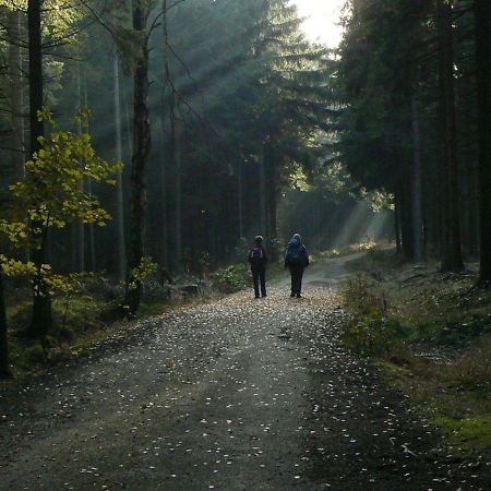 Апартаменты Zimmervermietung-Heide-Fiege Hartmannsdorf bei Chemnitz Экстерьер фото