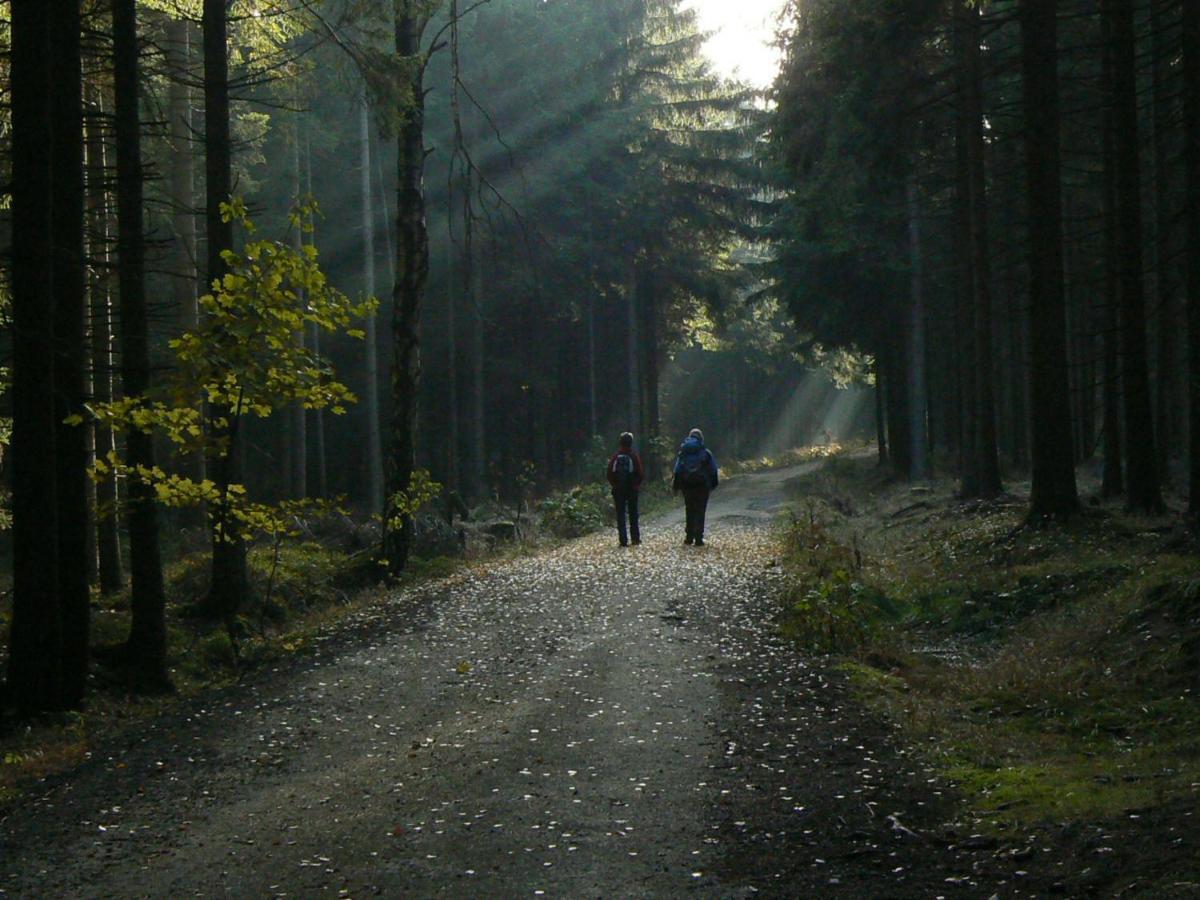 Zimmervermietung-Heide-Fiege Hartmannsdorf bei Chemnitz Экстерьер фото